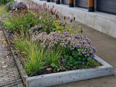 Tekerlekli sandalye kullanıcıları için beton rampa beton kenarlı yükseltilmiş bir yatağın parçası. Tekerlekli sandalyeli engelliler için erişim hakkı. Ofis ya da spa binası çevresi. Ana giriş