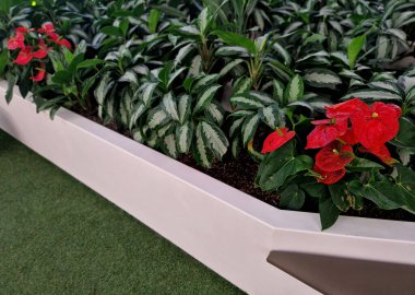 Plastik yuvarlak şekillerden yapılmış, açık renkli çiçek yataklarındaki tropikal bitkiler. Çim gibi halı ve bahçe gibi fayanslar.