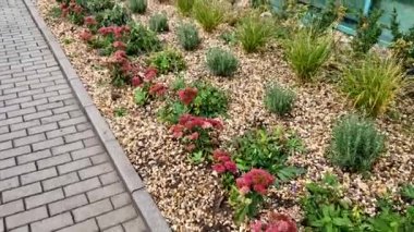 Süslü, uzun ömürlü çiçek tarhı. Çiçeklerle dikilmiş ve trowelli çakıl taşlarıyla samanlanmış.