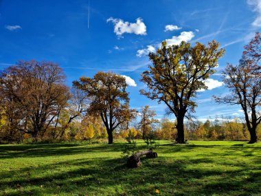 Ağaç gövdesinden yapılmış basit bir engel. Kenarında daha iyi bir at navigasyonu için kesilmiş bir çam ağacı var.