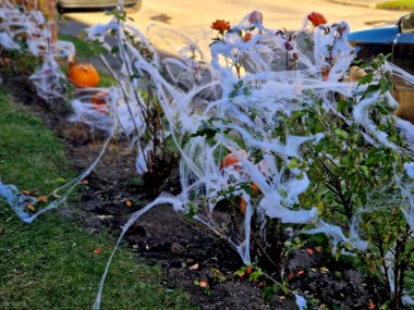 Evin önünde mezarlarla ve sprey boyadan örümceklerle kaplı haçlarla dolu korku çiçekleri var. Çalılıklarda ve bahçedeki çocuklar için gerçekçilik yaratmak yan yana, kaldırımda, tuğla duvarda