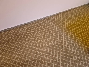 Küçük bir yığınla ince renklerde şebeke desenli halısı olan bir odanın kapısını aç. Döşeme ve halı arasında alüminyumdan yapılmış geçiş şeridi. Kahverengi ahşaptan yapılmış kapı çerçeveleri.