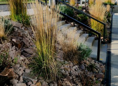 Oturan bir bankla aynı anda parka giden beton merdivenler. Gri çimento pürüzsüz parlak çimento yüzeyi. Granit küpler harman yolu döşüyorlar. Bitkilerle kaplanmış. geniş