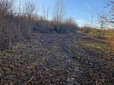 saman kabuğu. Ot büyümesini ve ot filizlenmesini önlemek için odun parçaları. Dal öğütücü, çalıların temizlenmesi ve istilacı türler. Yüksek gerilim kablosunun altında büyür.