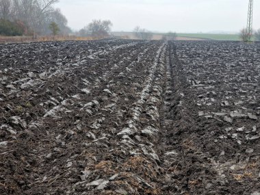 Tarlada sürülmüş, muhtemelen siyah toprak tipli. Bu toprak yüksek humus içeriğinden dolayı koyu rengiyle karakterize edilir. En verimli topraklardan biri olan kooperatif üyeler Aralık 'ta ilk kez toprak sürerler.