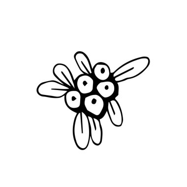 Ökseotunun yaprakları ve meyveleri Doodle çizgileri şeklinde elle çizilmiştir. Ökseotunun Noel ikonu. Yeni yıl bitkilerinin Noel ikonu. Beyaz bir arkaplanda izole edilmiş