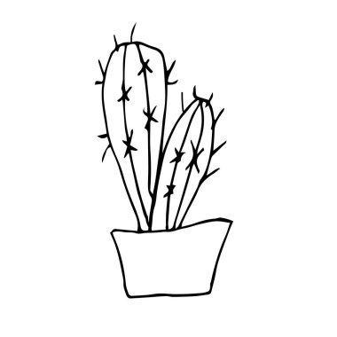 Tencerede tek bir kaktüs. Siyah kalemle çiziyor. Beyaz bir arka planda el çizimi. Ev. Doğrusal çizim, ev dekorasyonu. Doodle tarzı.