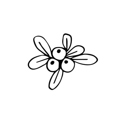 Ökseotunun yaprakları ve meyveleri Doodle çizgileri şeklinde elle çizilmiştir. Ökseotunun Noel ikonu. Yeni yıl bitkilerinin Noel ikonu. Beyaz bir arkaplanda izole edilmiş