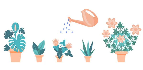 Bevattning Hem Blommor Från Vattenkanna Insamling Inhemska Växter Inklusive Monstera — Stock vektor