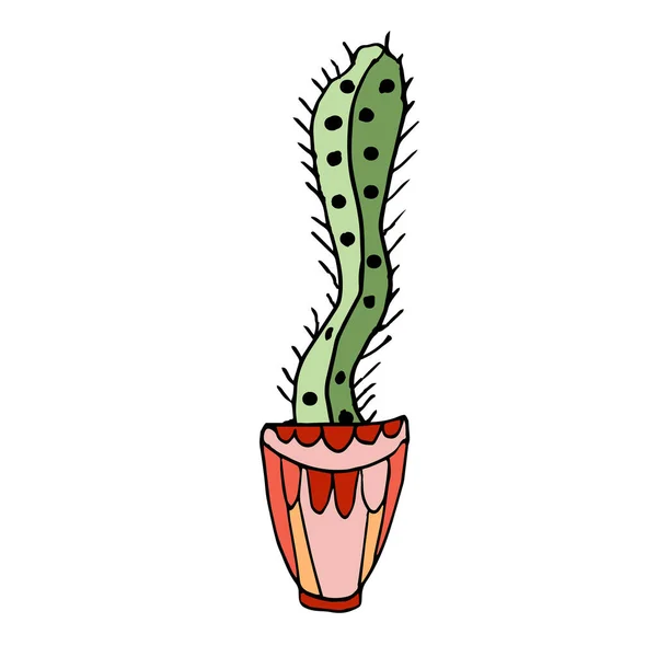 Solo Cactus Lindo Una Olla Brillante Aísla Sobre Fondo Blanco — Archivo Imágenes Vectoriales