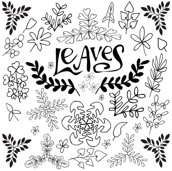 Leaflearningストックベクター ロイヤリティフリーleaflearningイラスト Depositphotos