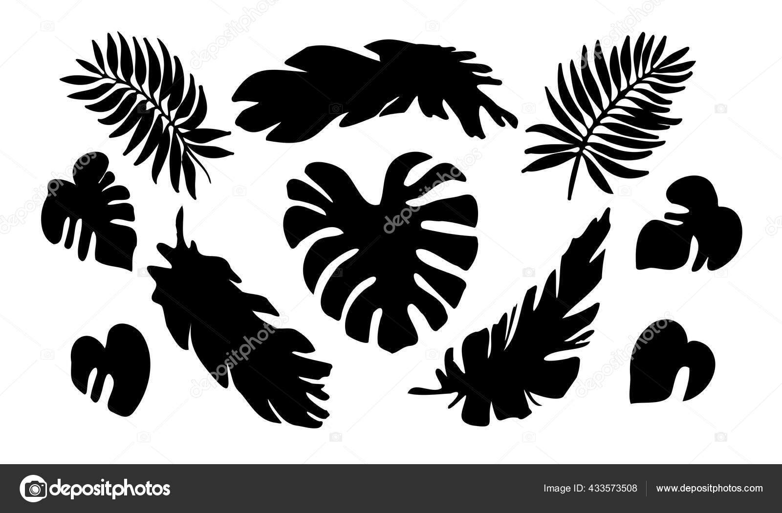 Vector Set Black Silhouettes Tropical Leaves Collection Exotic Leaves ...
