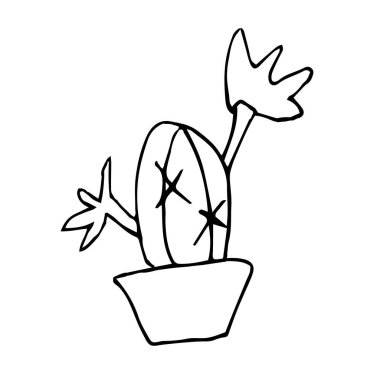 Tencerede çiçek açan tek bir kaktüs. Siyah kalemle çiziyor. Beyaz bir arka planda el çizimi. Ev. Doğrusal çizim, ev dekorasyonu. Doodle tarzı.
