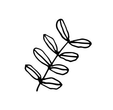 Dekorasyon kartları, sunumlar, davetiyeler için yaprakları olan tek bir dal. Doodle vektör çizimi. Beyaz arkaplanda izole