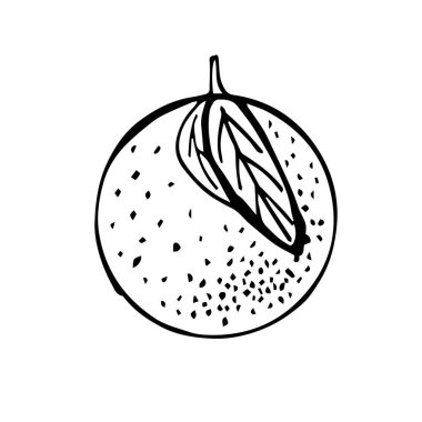 Bir portakal çiziyorum. Karalamaların tarzında çiz.