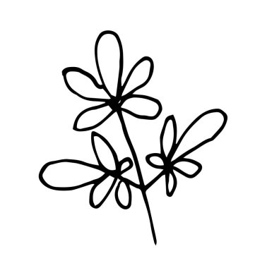 Dekorasyon kartları, sunumlar, davetiyeler için yaprakları olan tek bir dal. Doodle vektör çizimi. Beyaz arkaplanda izole