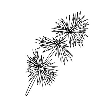 Çizim tarzında tek bir çam dalının çizimi beyaz bir arkaplanda izole edilmiştir. Vektör çam dalı elle çizilmiş. Noel doğrusal bir çizimdir. Yeni yılın tasarımı ve dekorasyonu için.