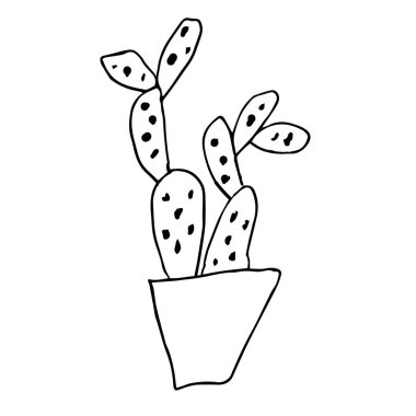 Tencerede tek bir kaktüs. Opuntia. Siyah kalem çizimi. Beyaz arka planda el çizimi. Ev. Çizgi, ev dekorasyonu. Doodle tarzı.