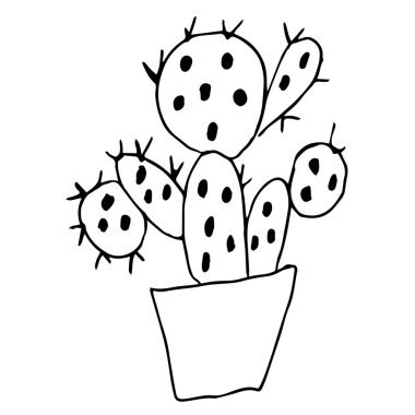 Tencerede tek bir kaktüs. Opuntia. Siyah kalem çizimi. Beyaz arka planda el çizimi. Ev. Çizgi, ev dekorasyonu. Doodle tarzı.