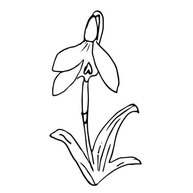 Tek elle çizilmiş kar tanesi. Doodle vektör çizimi. Tebrik kartları, posterler, çıkartmalar ve mevsimlik tasarım için çiçekçi unsuru. Beyaz arkaplanda izole