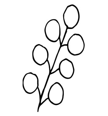 Dekorasyon kartları, sunumlar, davetiyeler için yaprakları olan tek bir dal. Doodle vektör çizimi. Beyaz arkaplanda izole
