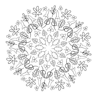 Beyaz arka planda yaprakları olan sevimli Doodle mandala. Daire şeklinde dizilmiş bir dizi botanik element. Yetişkinler ve çocuklar için el çizimi vektör çizimi ve sanat kitapları.