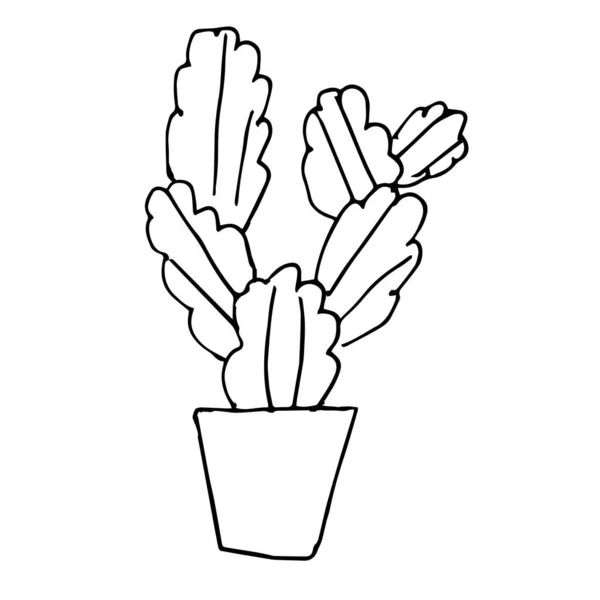 Single Cactus Pot Drawing Black Pen Hand Drawing White Background — Stock Vector