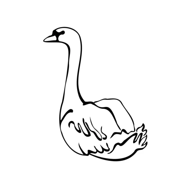 Векторные Одиночные Силуэты Лебедя Изолированы Белом Фоне Икона Лебедя Плывущего — стоковый вектор