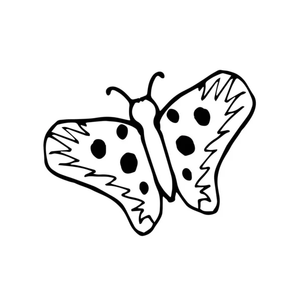 Solo Mariposa Verano Dibujo Vectorial Estilo Doodle Aislado Sobre Fondo — Vector de stock