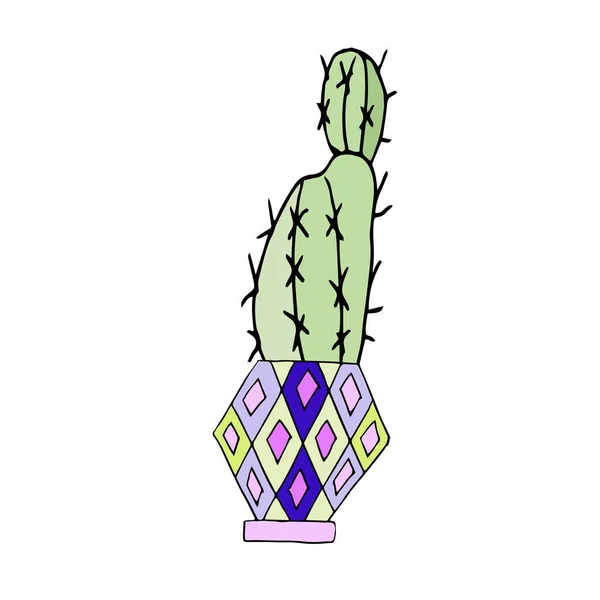 Single Cute Cactus Bright Pot Isolated White Background Festive Mood — 스톡 벡터