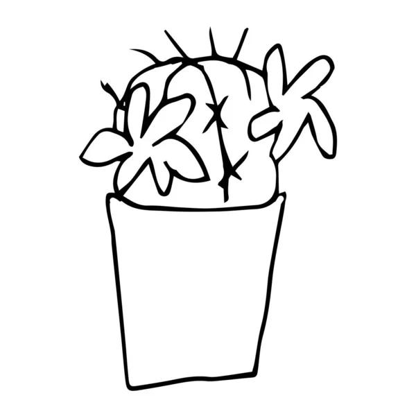 Seul Cactus Fleurs Dans Pot Dessin Avec Stylo Noir Dessin — Image vectorielle