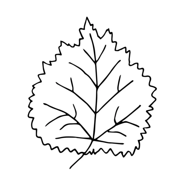 一本の手描き葉 落書きベクトルイラスト グリーティングカード ポスター ステッカー 季節のデザインのためのフロリスティックな要素 白地に隔離された — ストックベクタ