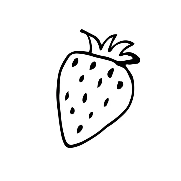 Une Seule Fraise Dessin Vectoriel Dans Style Doodle Isolé Sur — Image vectorielle