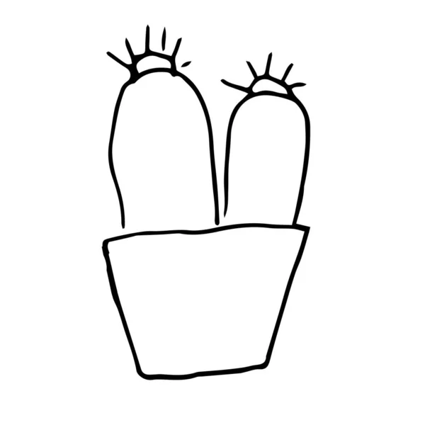 Enkele Cactus Een Pot Lithops Zwarte Pen Tekening Handtekening Witte — Stockvector