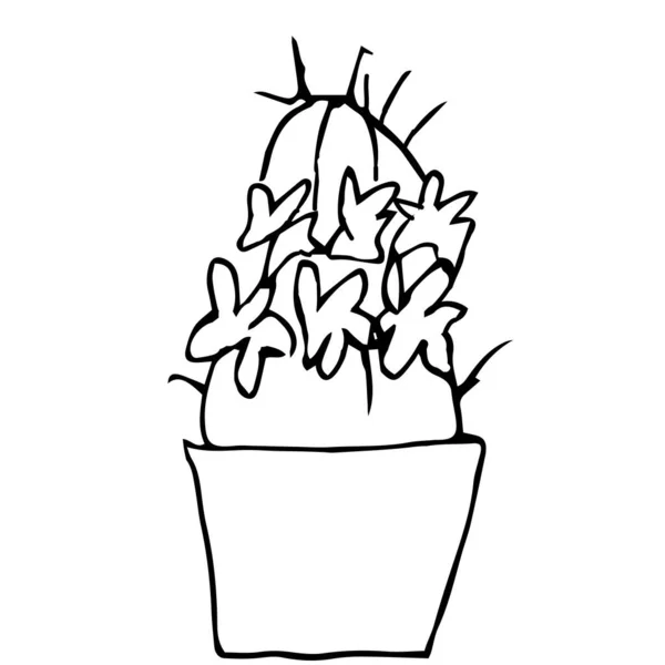 Pojedynczy Kwitnący Kaktus Garnku Rysuję Czarnym Długopisem Ręczne Rysowanie Białym — Wektor stockowy