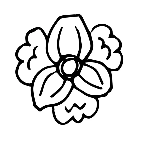 Brote Flor Dibujado Mano Ilustración Vectorial Doodle Elemento Florístico Para — Vector de stock