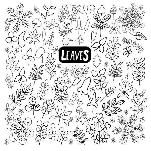 Leaflearningストックベクター ロイヤリティフリーleaflearningイラスト Depositphotos