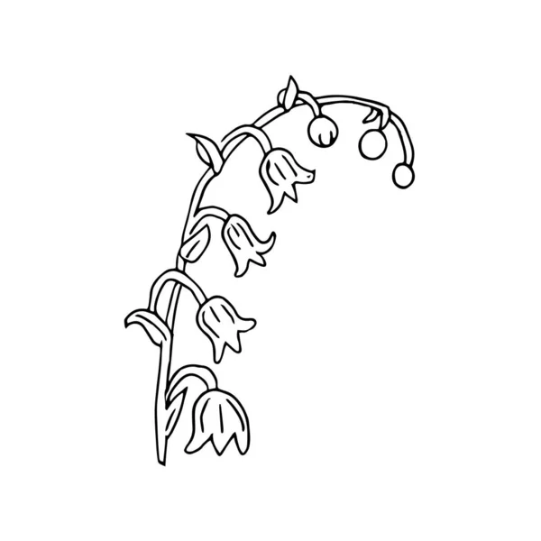 Lily Valley Flower Drawing Illustration Doodle Style Black White Linear Stock Illustration