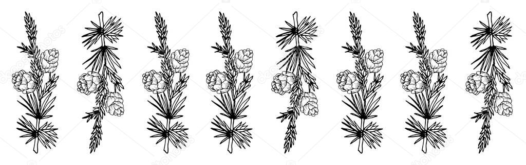 Horizontal Border Pine Branches Cones Black White Vector Illustration Sketch Royalty Free Stock Illustrations