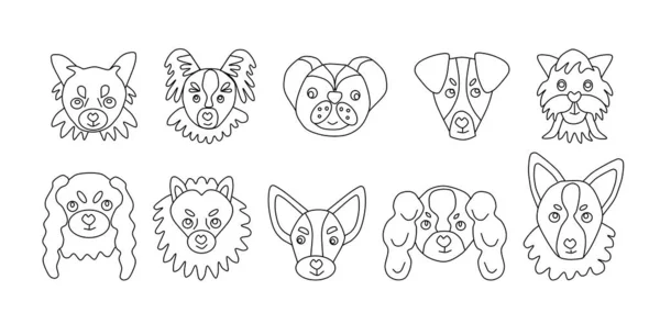 Коллекция Векторных Икон Портретов Маленьких Собак Нарисованных Стиле Каракулей Набор — стоковый вектор