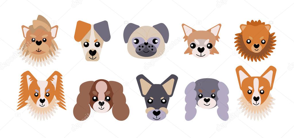 Collection of vector icons of portraits of small dogs drawn in a flat style. A set of cute funny faces of small dogs. Vector illustration in cartoon style.