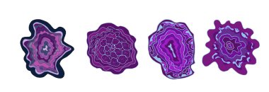 Bir bölümdeki ametist kristalleri seti. Beyaz arkaplandaki minerallerin vektör çizimi. Alternatif tıp. Taşlarla tedavi.