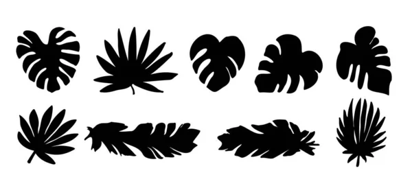 Conjunto Vectorial Siluetas Negras Hojas Tropicales Colección Hojas Exóticas Monstera — Archivo Imágenes Vectoriales