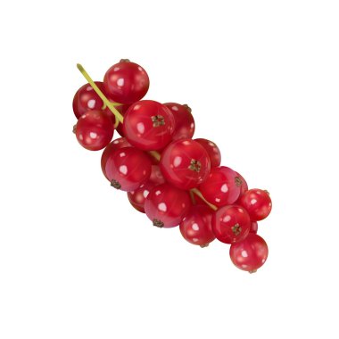 Beyaz arkaplanda kırmızı frenk üzümü