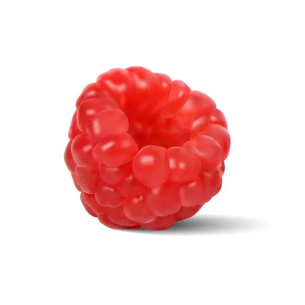Red Ripe Raspberries White Background — Stock Vector