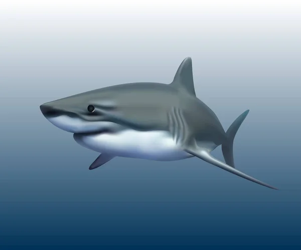 Bílý Žralok Izolovaný Pozadí — Stockový vektor