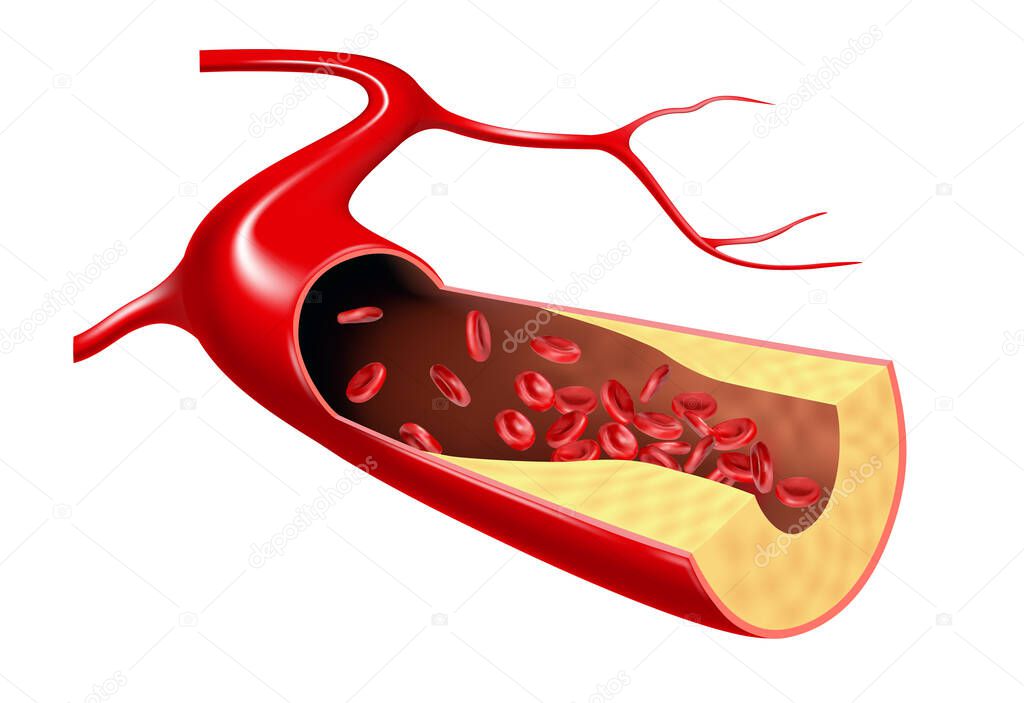 Cholesterol and erythrocyte flow in the vein. 3d illustration