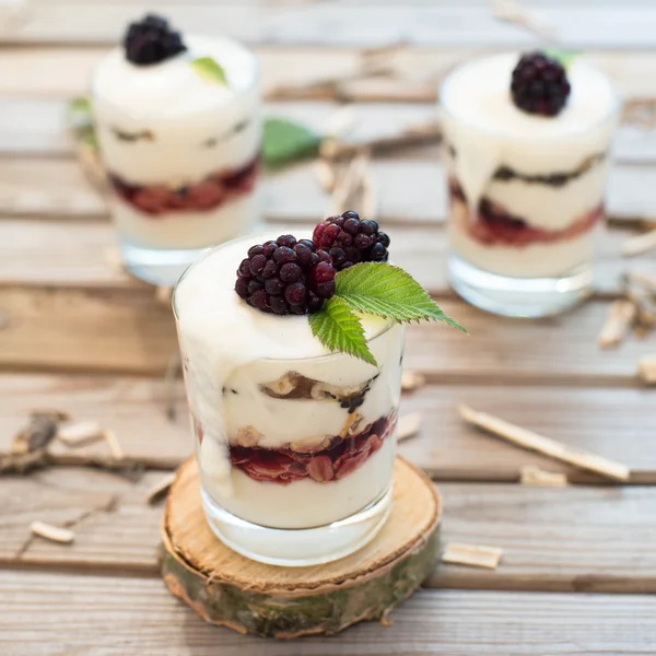 Postre congelado con mora, yogur y copos de avena. Desayuno saludable Close up — Foto de Stock