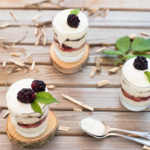 Postre congelado con mora, yogur y copos de avena. Desayuno saludable Close up — Foto de Stock