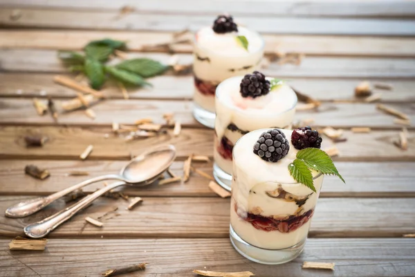 Postre congelado con mora, yogur y copos de avena. Desayuno saludable Close up — Foto de Stock